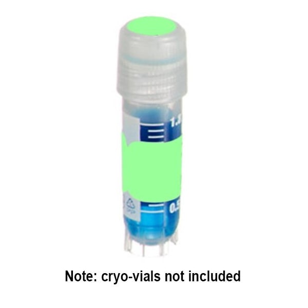 Diversified Biotech DirectThermal Tags (1.5x0.5") and Spot (3/8") Combo, Green, 500 sets/pk, 500PK 249404G - main